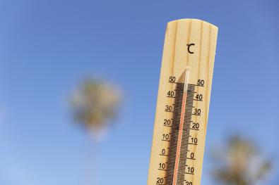 CALDO