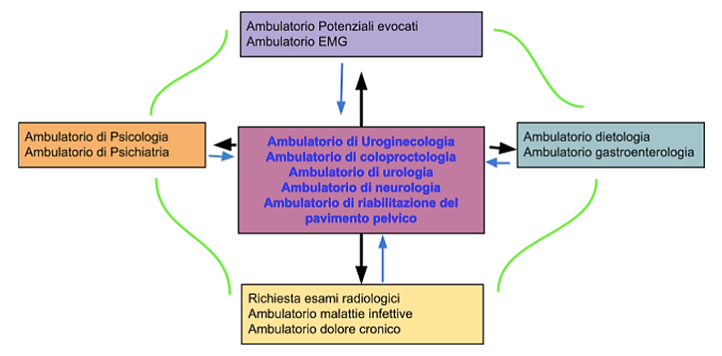 equipe multidisciplinare - PELVIC UNIT