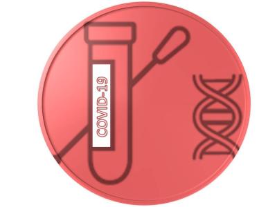 TAMPONI NASO-FARINGEI