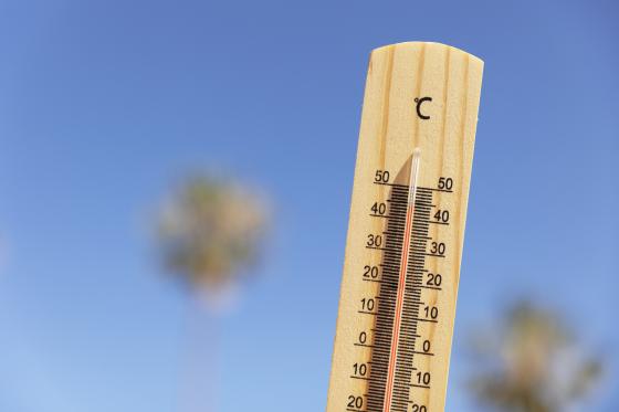 Emergenza caldo